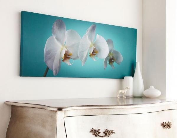 Rahmenloses Gemälde 40-615, Teal orchid, Wall Art, Graham Brown